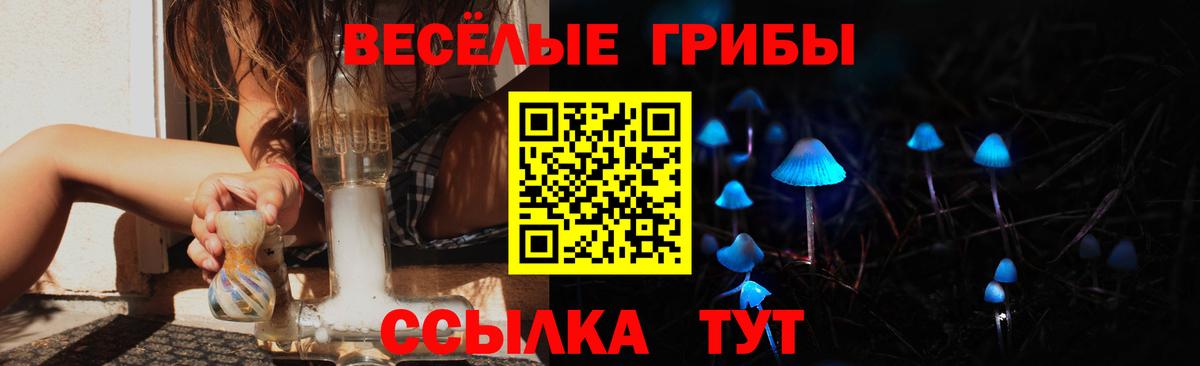 Петрозаводск  Псилоцибиновые грибы прущие грибы  Вход с VPN 