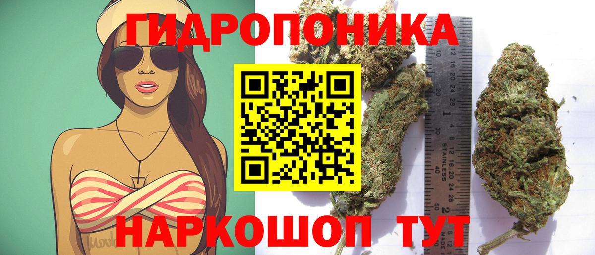 Каннабис MAZAR Петрозаводск