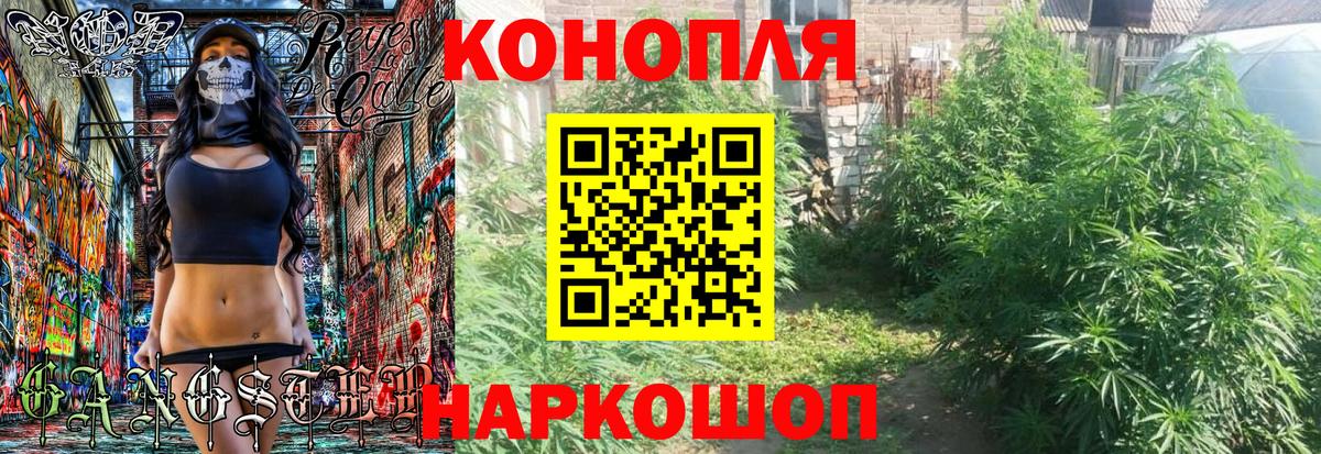 МАРИХУАНА Amnesia  Марихуана планчик  Петрозаводск  МАРИХУАНА OG Kush  Вход с VPN  Шишки марихуана SATIVA & INDICA 